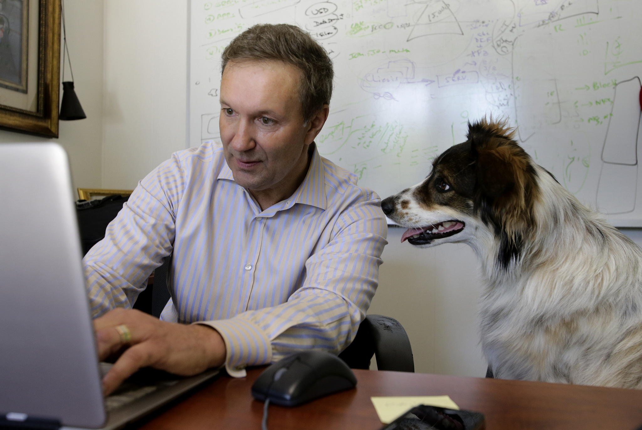 Inspirálja a gazdát és a többi dolgozót is