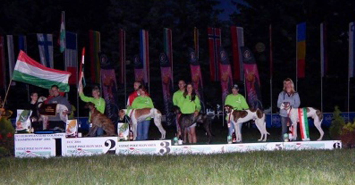 Magyar sikerek a coursing EB-n