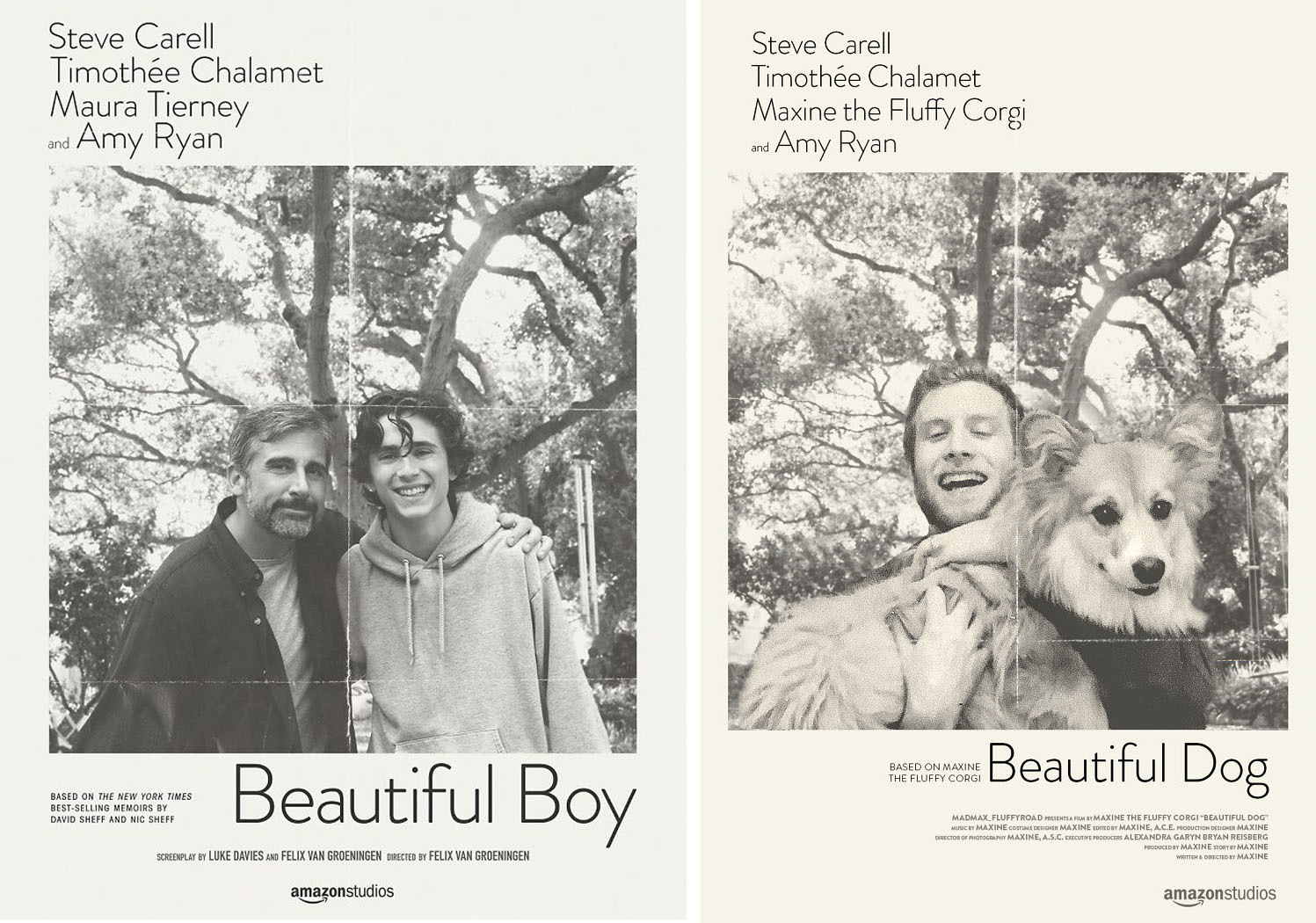 Beautiful Boy - Beautiful Dog Beautiful Boy - Beautiful Dog