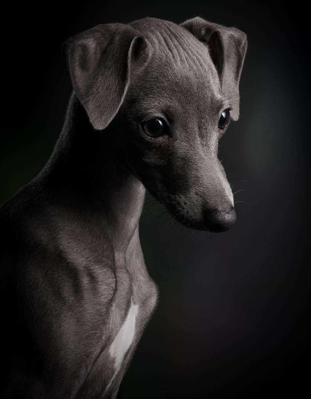 Klaus Dyba - Little Ceylin