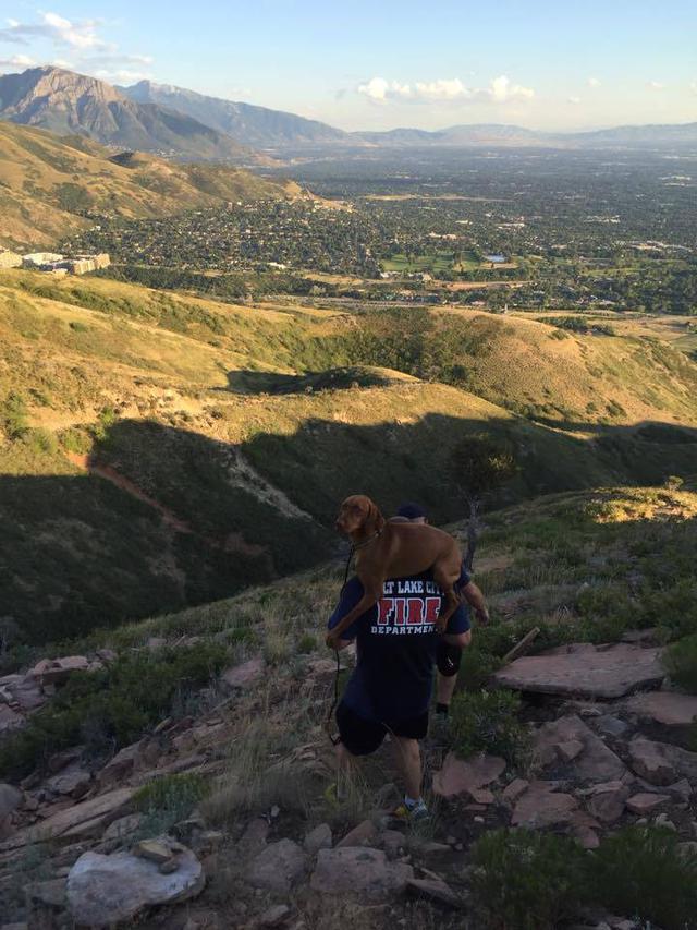 Ezen a tájon kóborolt Rue