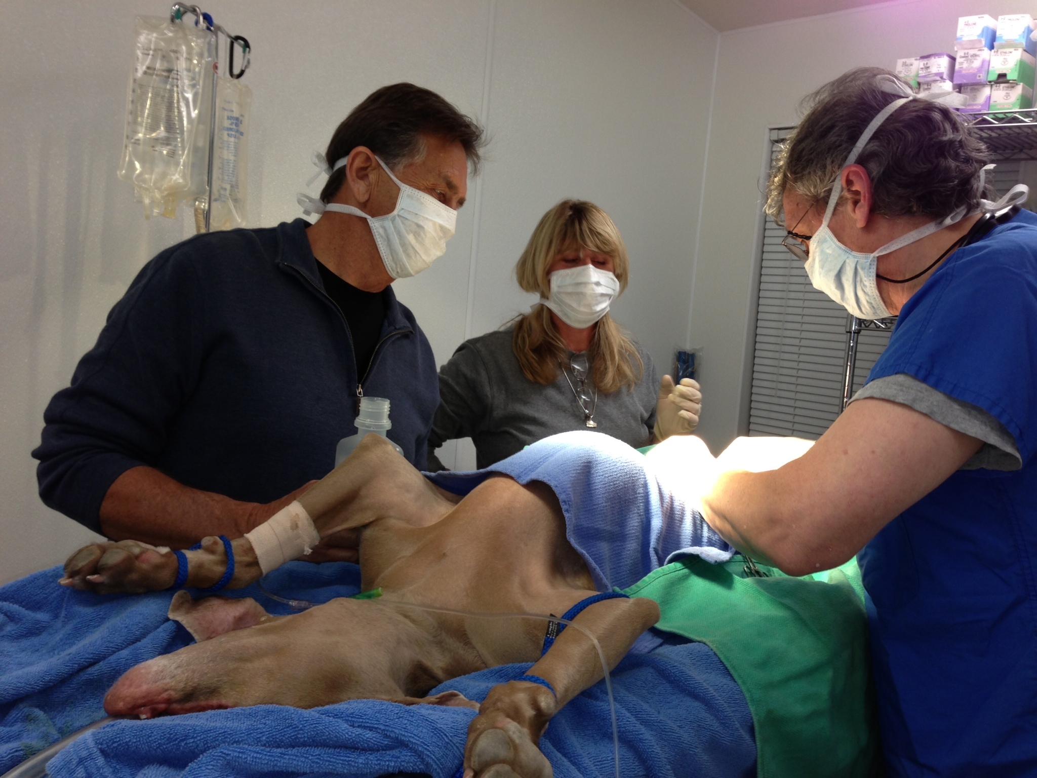 A gyors beavatkozás az egyetlen esély