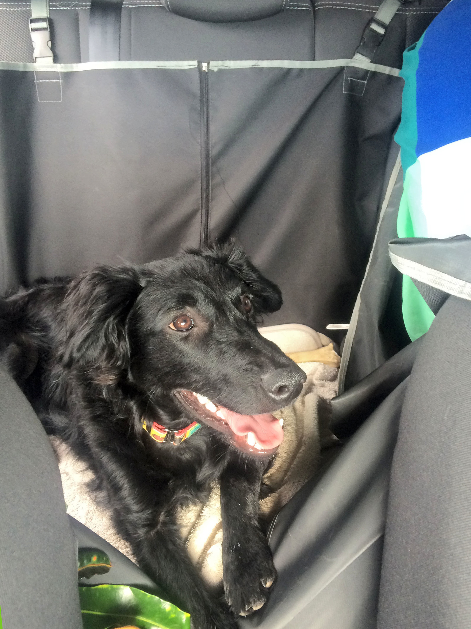 Utazás előtt mindenről gondoskodni kell