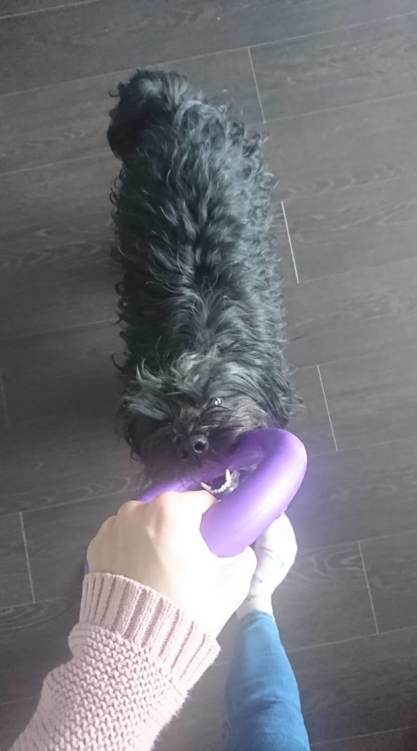 Felugrás, ráfogás a karikára - egy újabb feladat a pullerrel