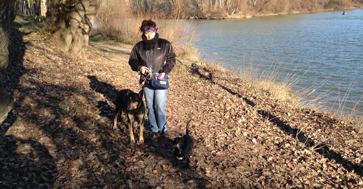 Kirándulás kutyával