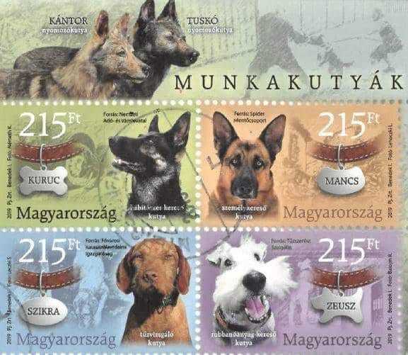 Alkalmi bélyegkisíven jelennek meg híres munkakutyáink portréi