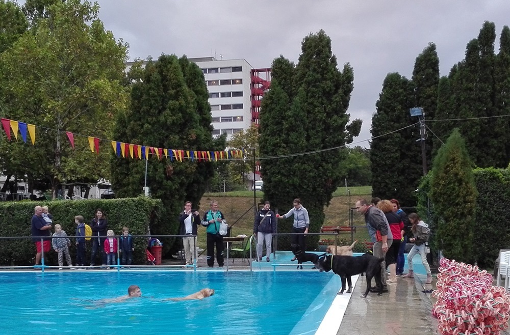 Szezonzáró kutyás buli a strandon