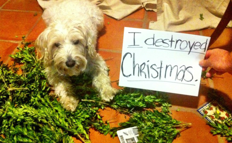 Ellátta a karácsonyi díszek baját