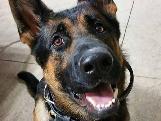 A hős Jethro élettel teli tekintete