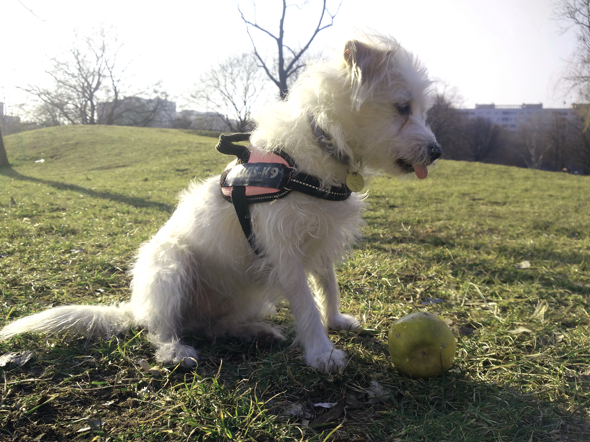 Felhőcske így mond 