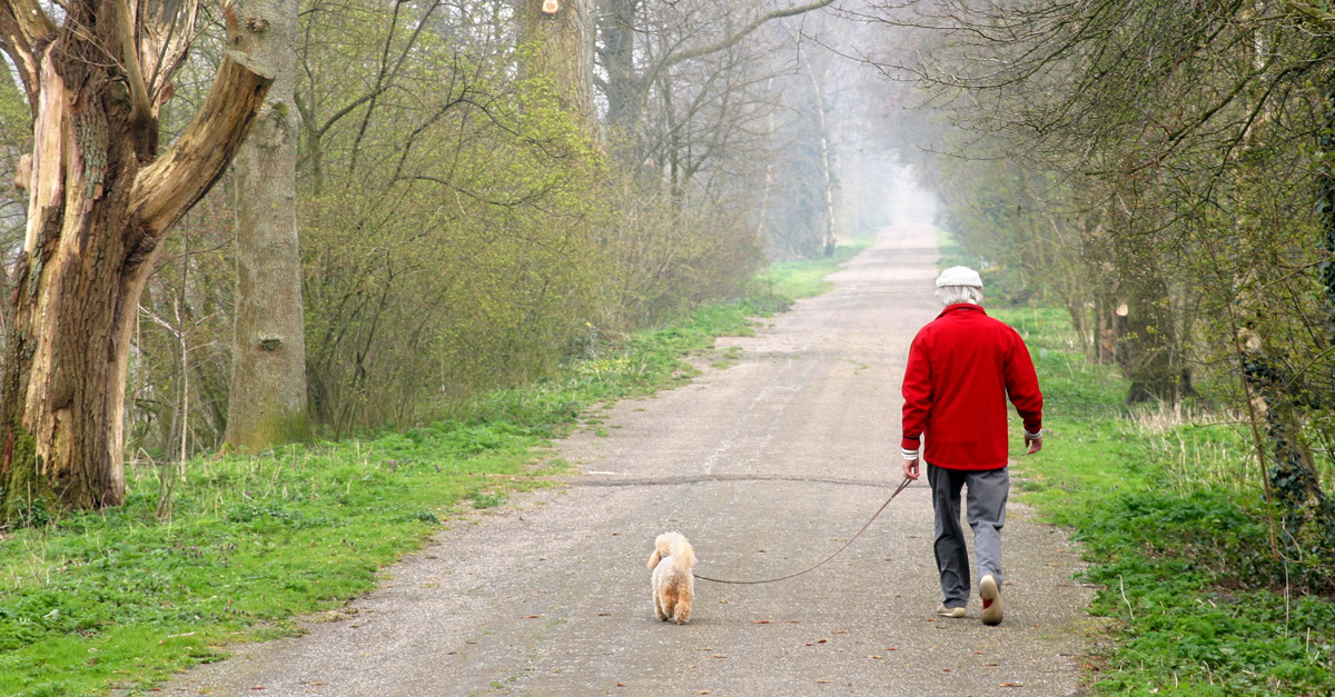 Kutyasétáltatás: a kutyának és gazdinak is jót tesz