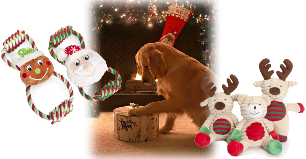 Kötélhúzás, vagy sípoló játék - a kutyád melyiknek örülne?