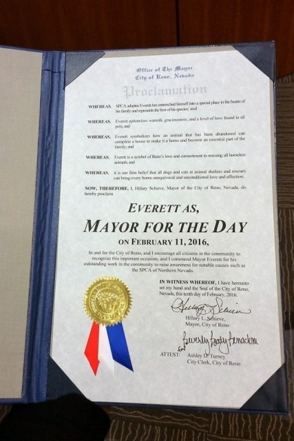 Február 11. - ezen a napon lett polgármester a kutya