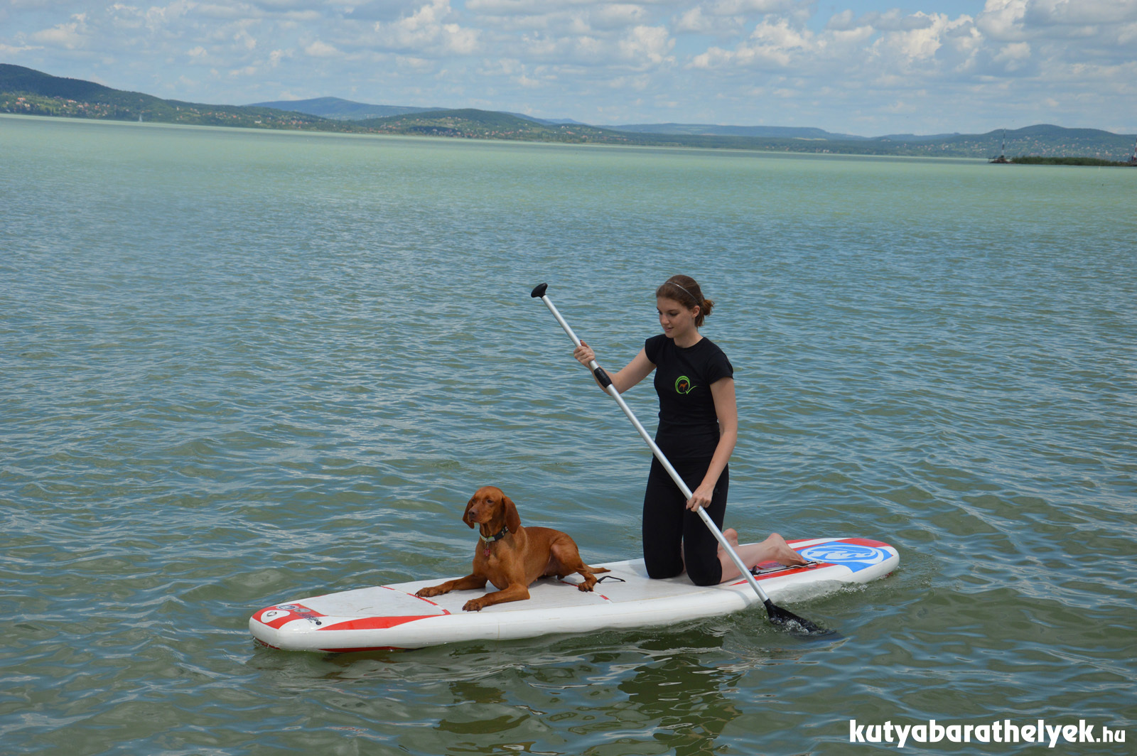 Kipróbáltuk mi is, milyen kutyával evezni