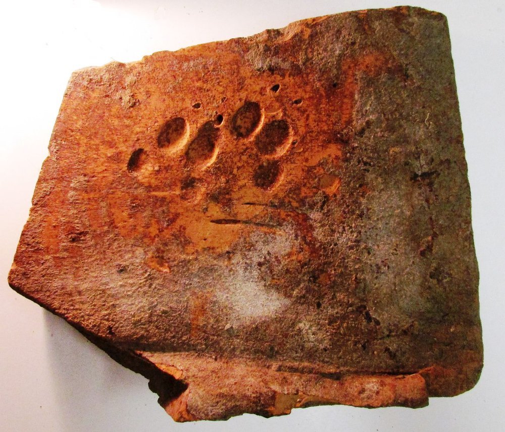Mancsnyomok az ókori római cserépdarabon