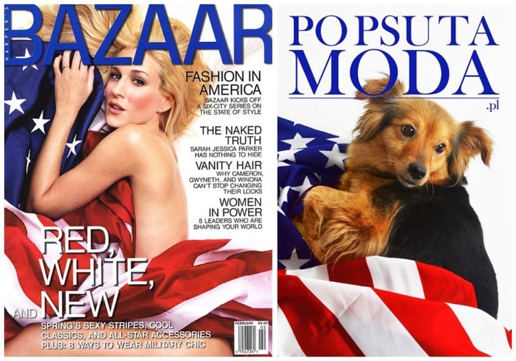 Kutya a címlapon Kutya a címlapon