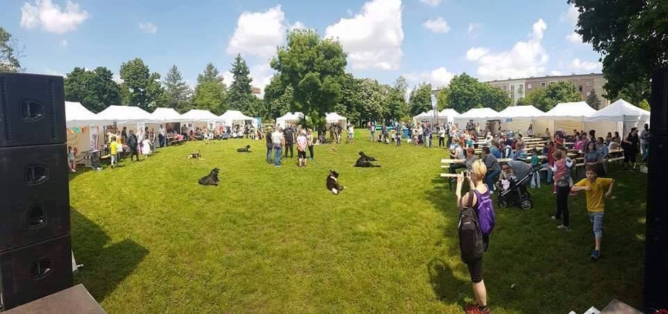 A SugárZoo Piknik helyszíne