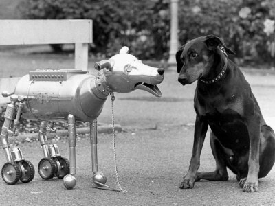 A valóságban egy kutya össze sem hasonlítható egy robottal