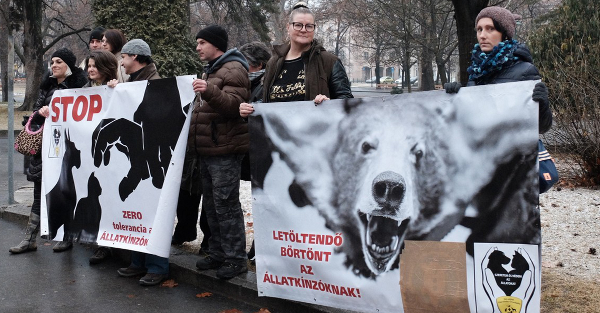 Állatvédők tüntettek Szegeden