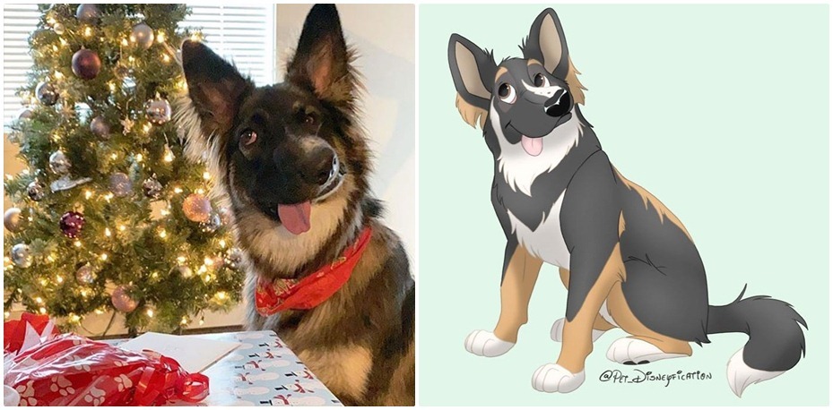 Pet Disneyfication 6