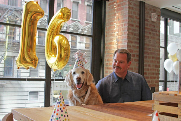 A mentőkutya születésnapját különlegesen ünnepelték