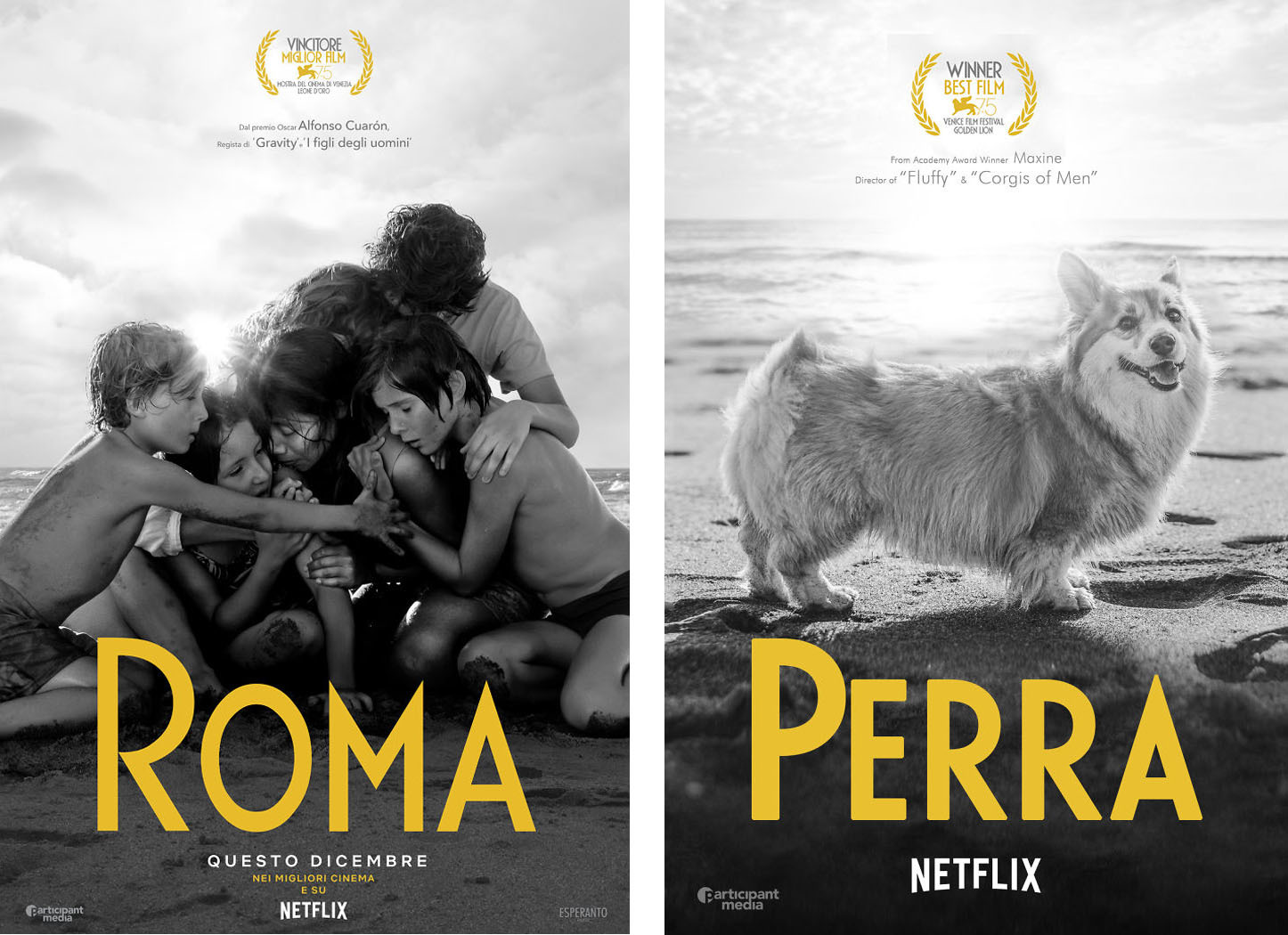 Roma - Perra Roma - Perra