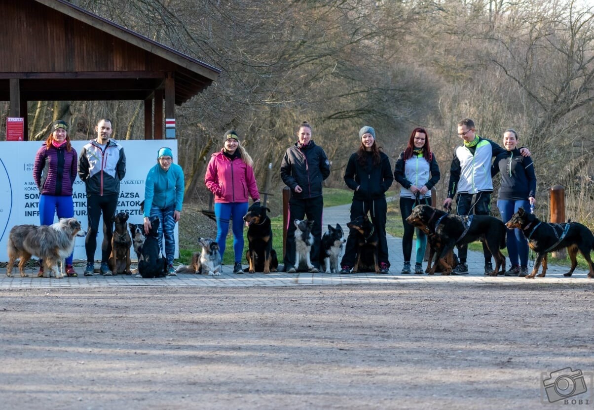 Csapatban motiváltabbak vagyunk, és nagyobb élmény a kutyás futás is!