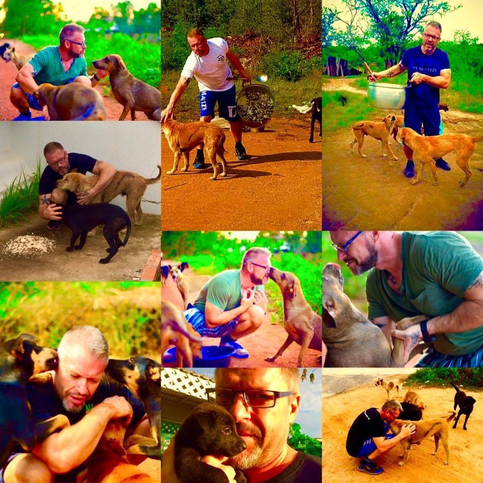 Michael Baines minden nap közel 80 kutyát etet Thaiföld utcáin