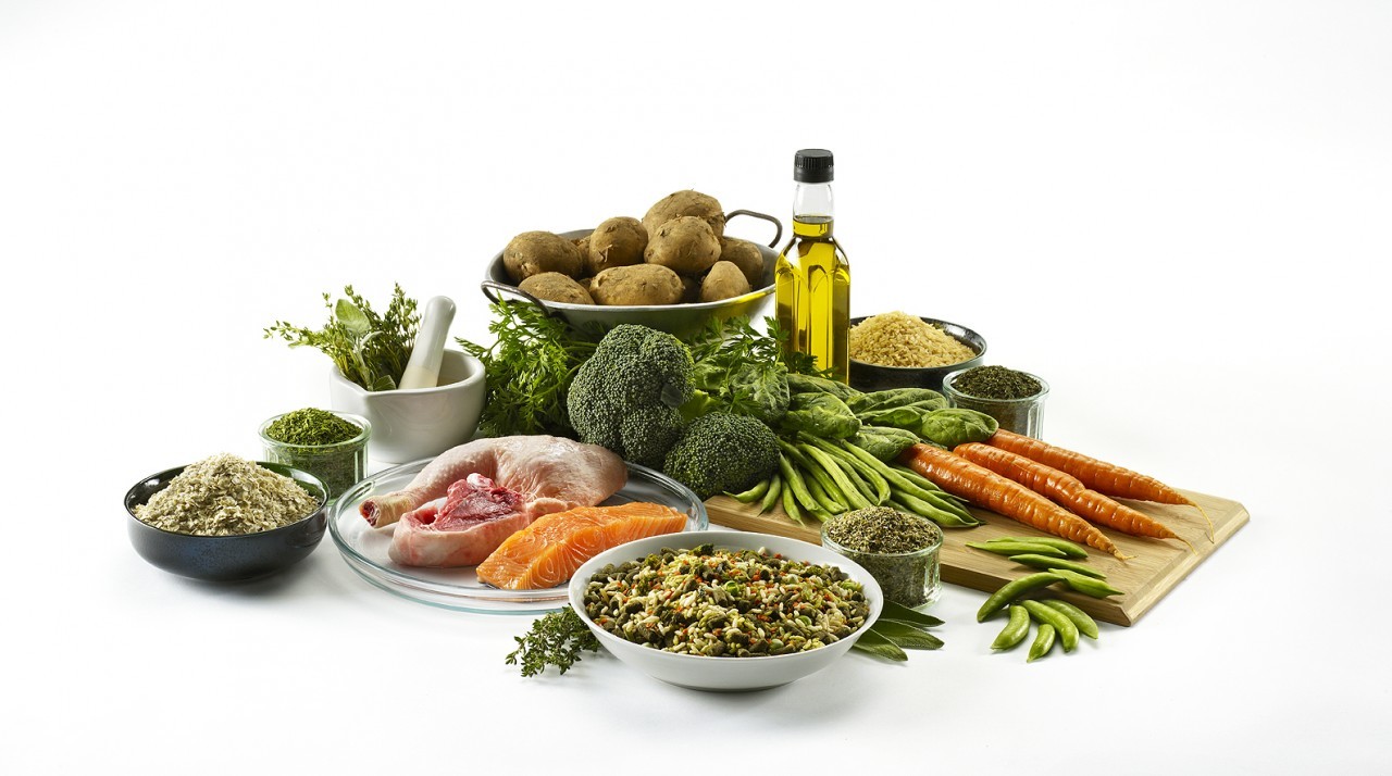 Az egészséges ételektől kutyánk is egészségesebb lesz