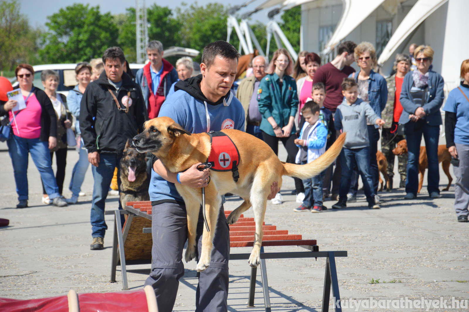A mentőkutyások is megmutatták, mit tudnak