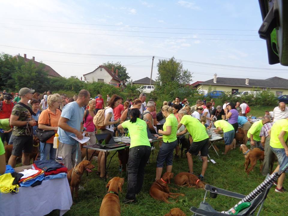 Minden kutyát és gazdit regisztráltak