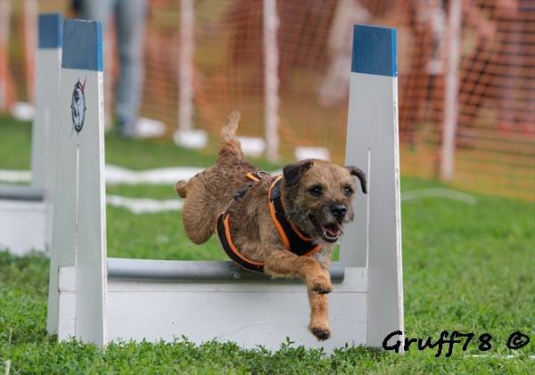 Futás a labdáért!