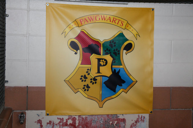 Pawgwarts: a kutya-Roxfort