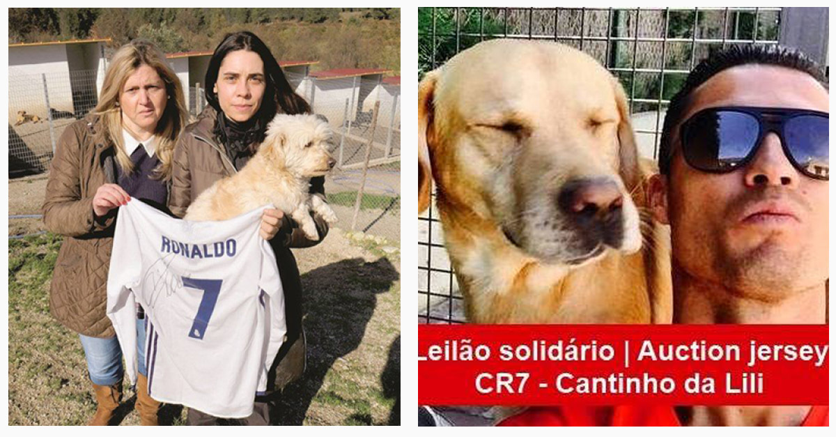 Ronaldo mentett meg egy menhelyet a bezárástól Ronaldo mentett meg egy menhelyet a bezárástól