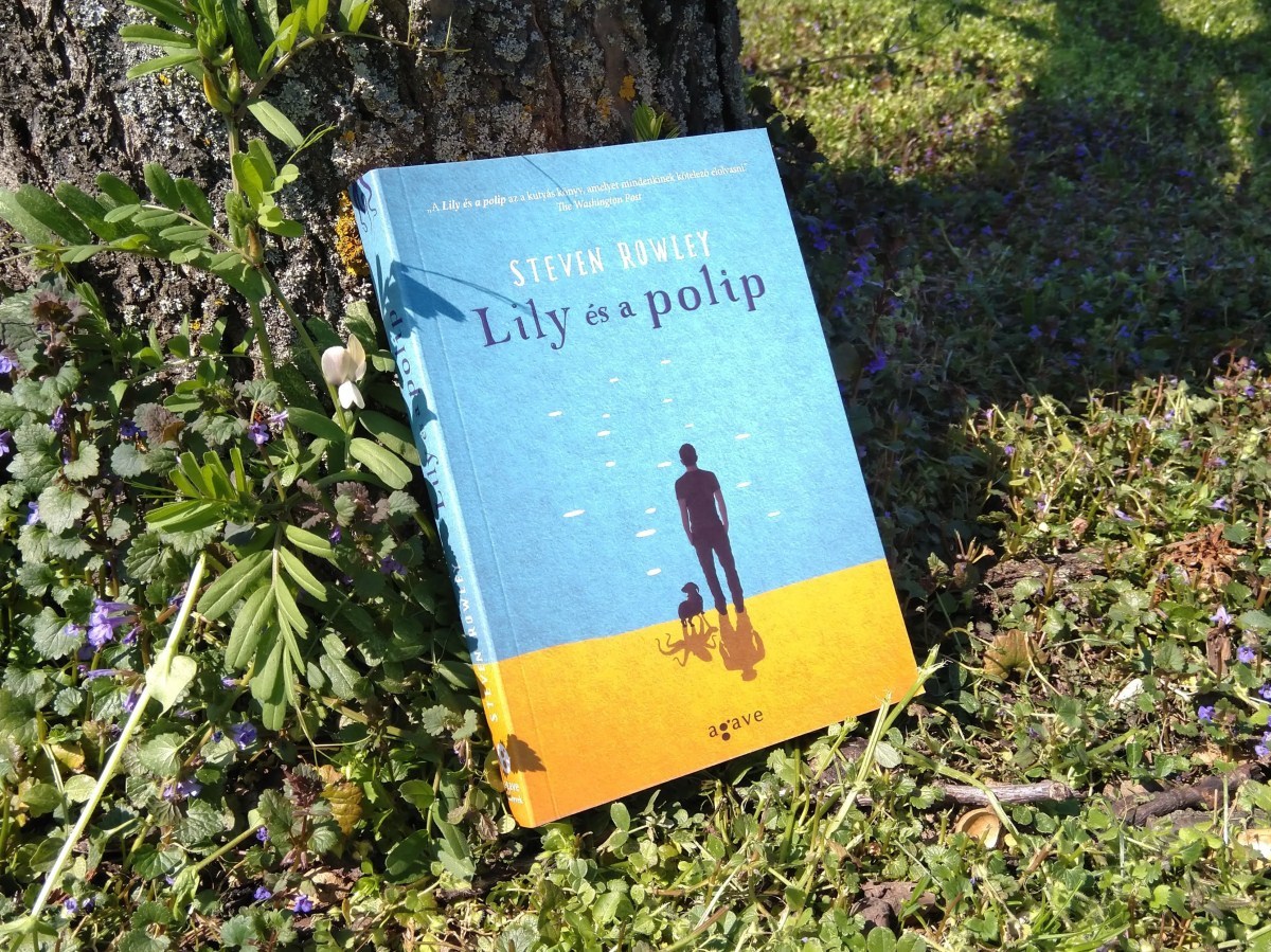 Kutyás regény - Steven Rowley - Lily és a polip