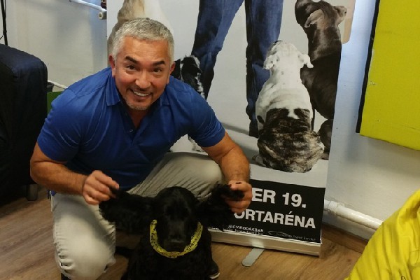Cesar Millan és Astra, Abaházi Csaba angol cocker spánielje