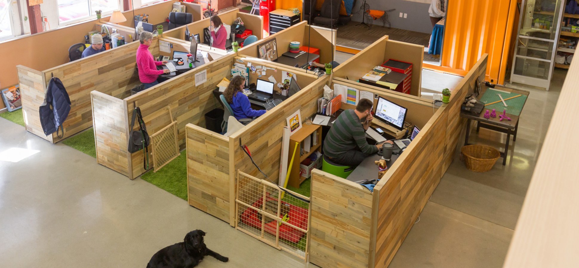 Josie a kreatív részleg mellett lazul a Kurgo irodaépületében