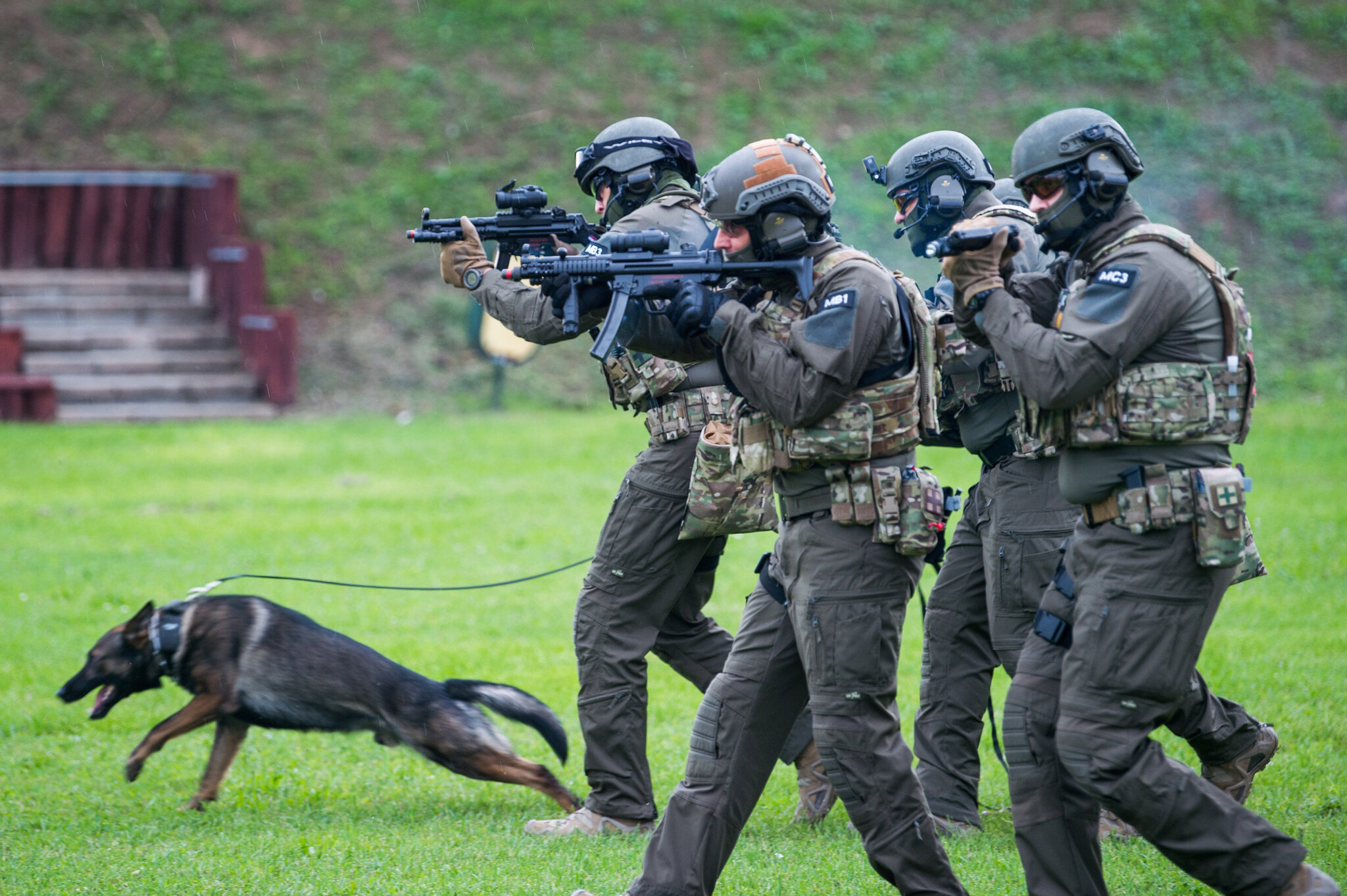 Pénzügyőrök bemutatója Budapesten a NAV Bevetési Igazgatóságának kutyakiképző központjában 