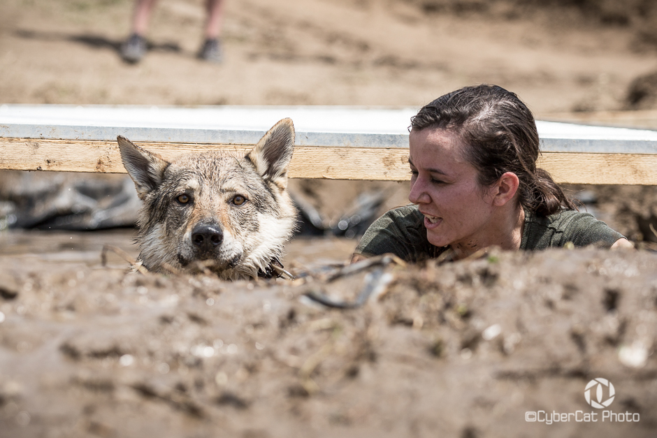 A Base verseny szintjének megfelelő akadályokkal kell megküzdenie a párosoknak Lengyelországban