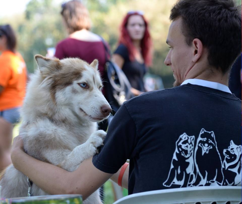 A programot az Összefogás a Szánhúzókért Közhasznú Alapítvány rendezte