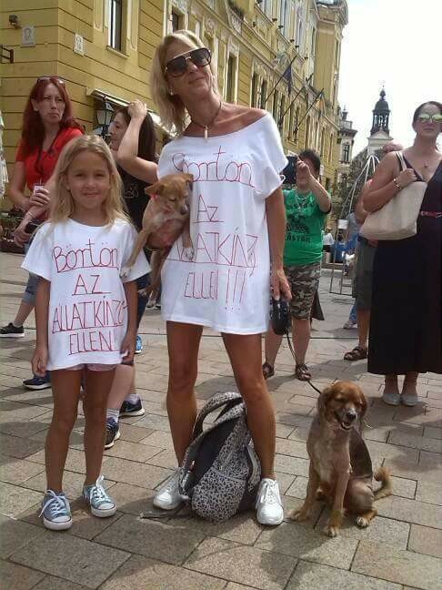 Börtönt az állatkínzóknak - Pécsett sem nézik tétlenül az állatok bántalmazását