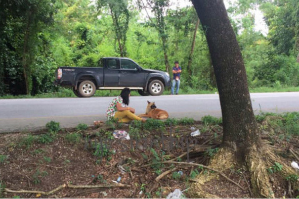 A helyiektől kapott vizet és élelmet a kutya