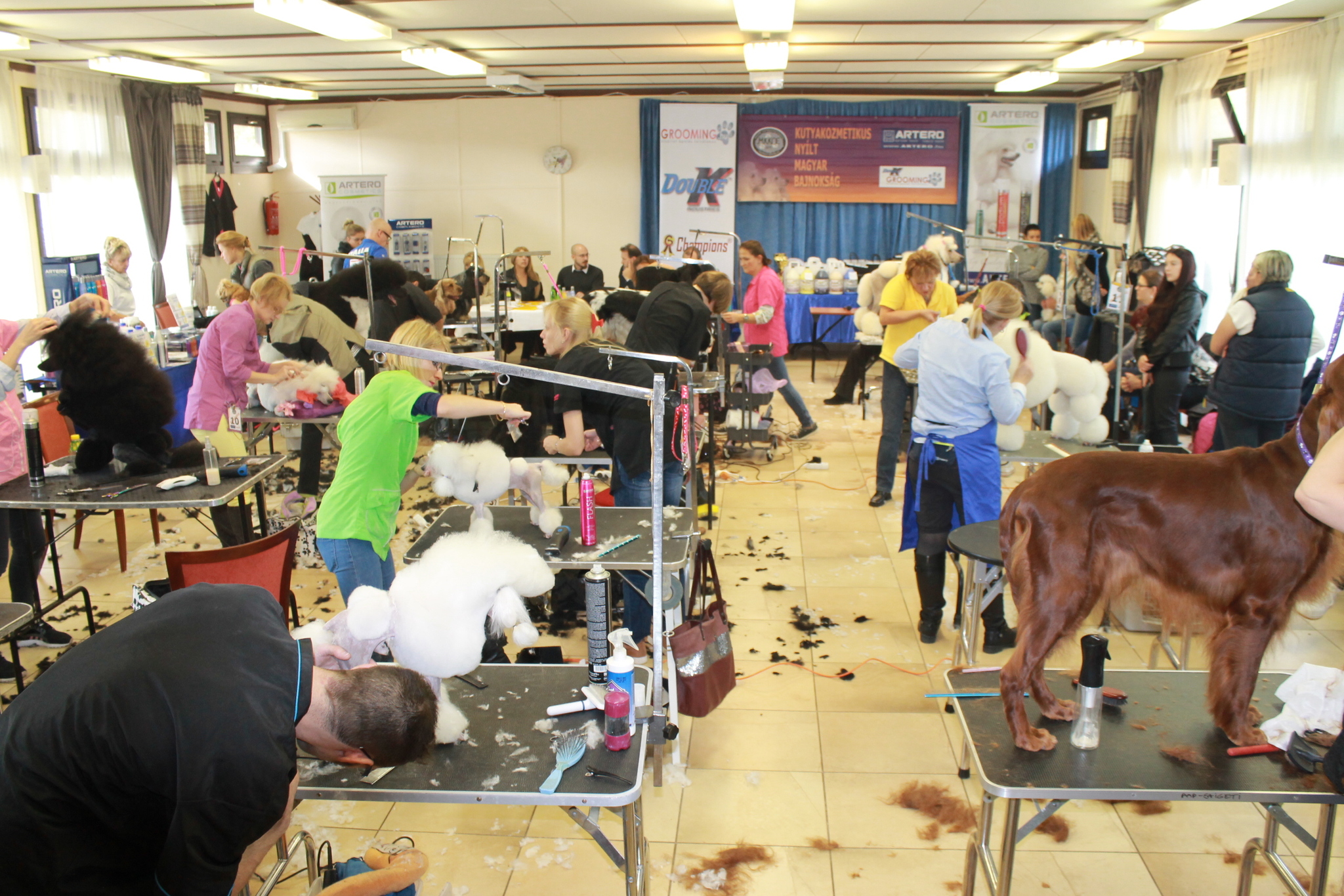 Mindenütt kutyaszőr - ilyen volt a HunGrooming, azaz a Kutyakozmetikus Nyílt Magyar Bajnokság 2016
