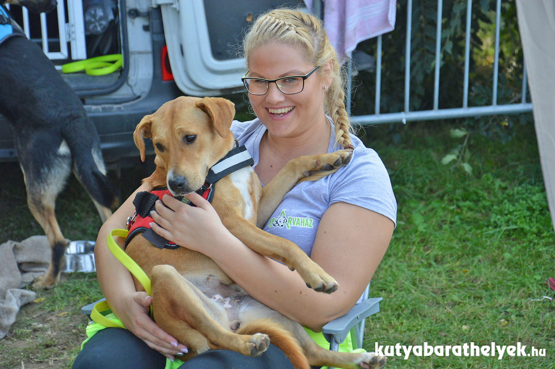 Az Ebárvaház gazdikeresői is kint voltak