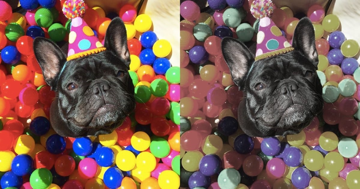 Bal oldalt az emberek, jobb oldalt a kutyák színérzékelése látható