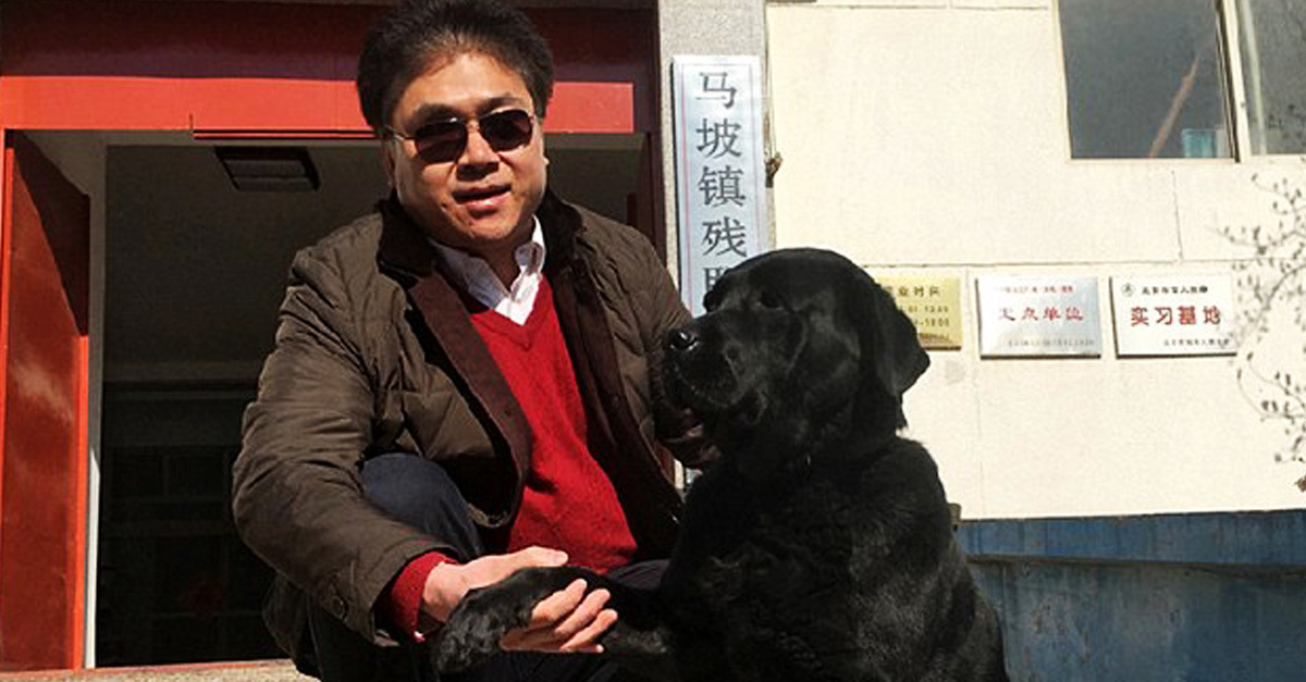 A tolvajok végül visszavitték az ellopott vakvezető kutyát