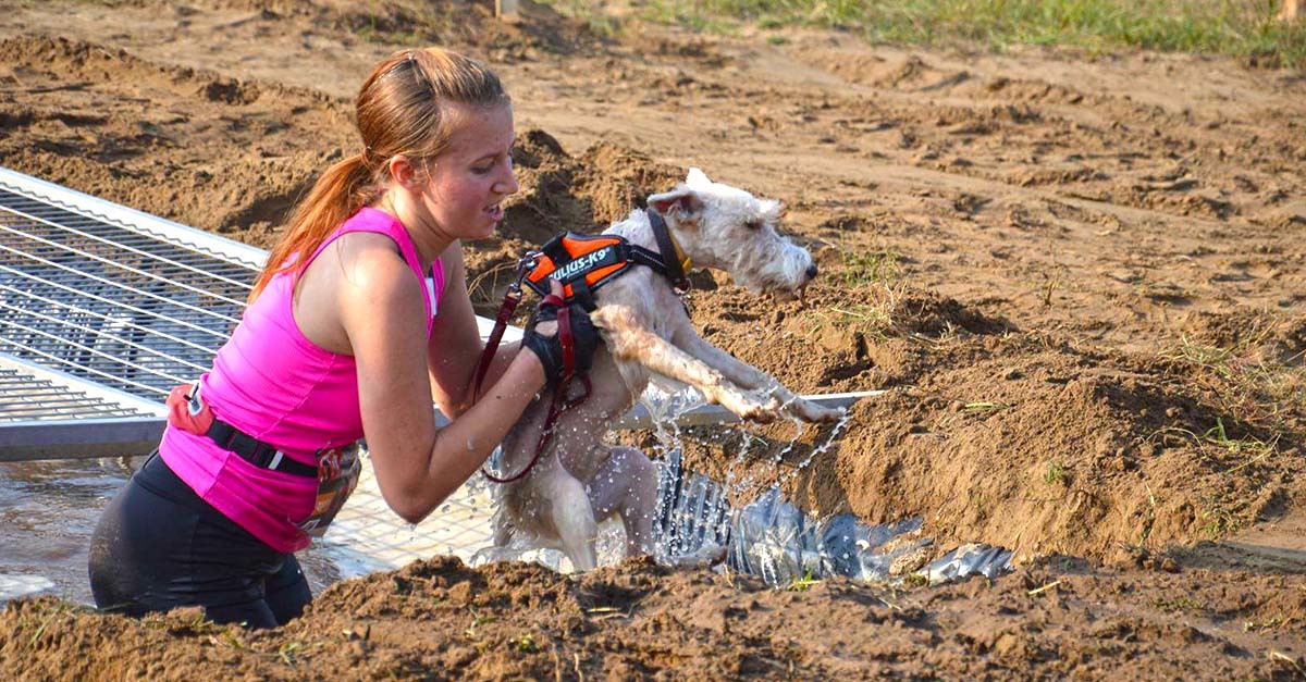 Sár, víz, meredek emelkedők... többek közt ezekkel is meg kell küzdenie a kutyásoknak