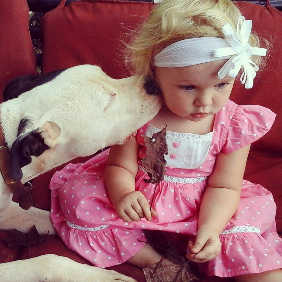 Clyde puzsit oszt Eisleighnek