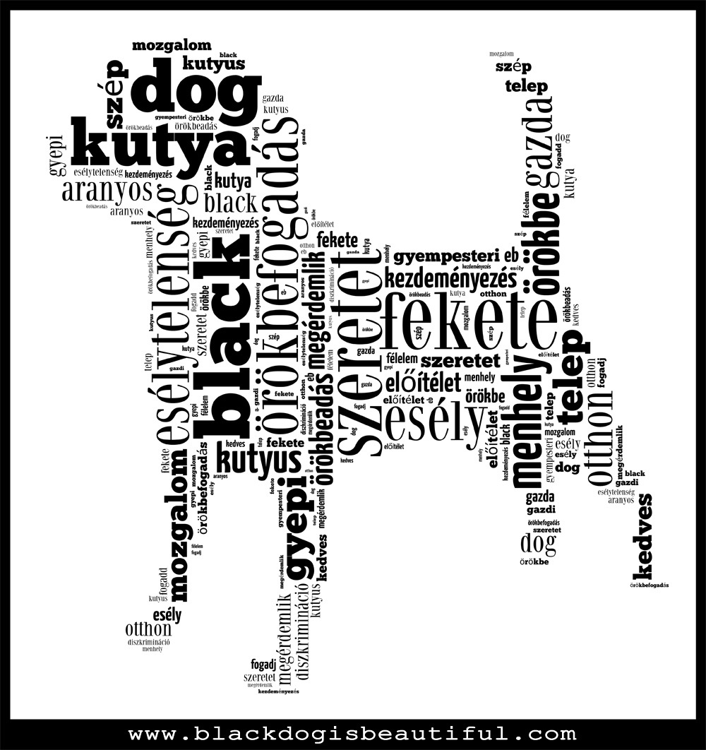 Black Dog Is Beautiful - A fekete kutya is szép