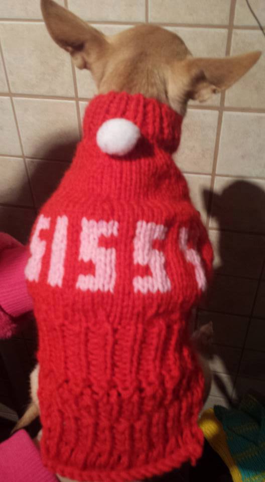 Az apró kutyusok számára különösen veszélyes a nagy hideg